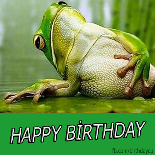 Here’s wishing you success