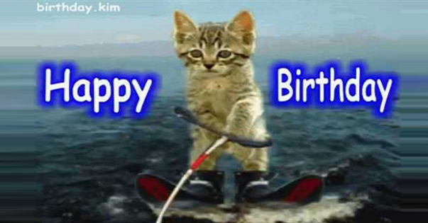 Birthday pictures and messages with cat content