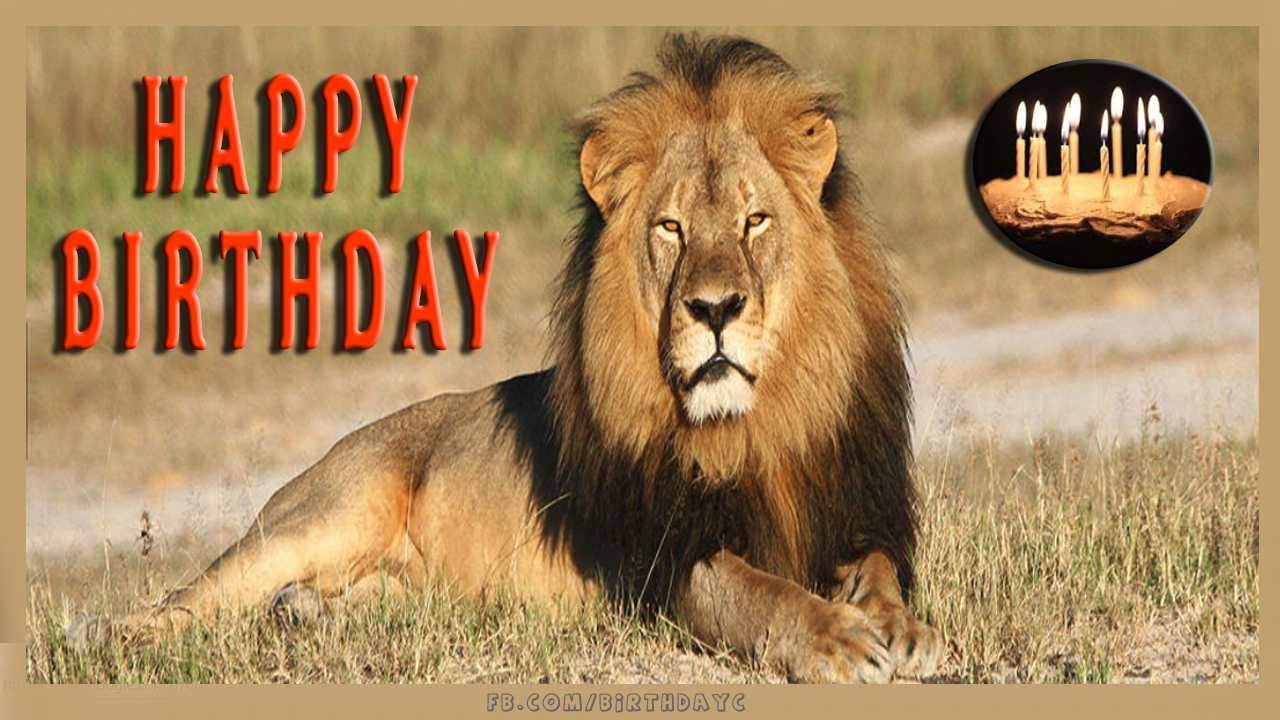 Lion Happy Birthday Greeting Card