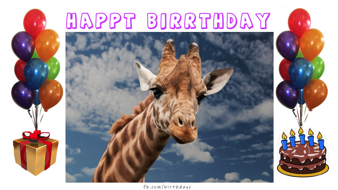 Happy Birthday, giraffe image card