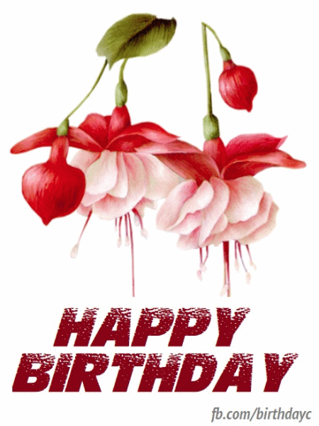 Floral birthday celebration picture message