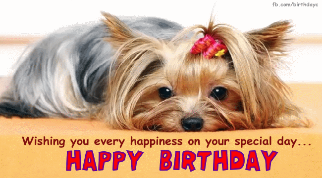 Cute dog, birthday gif message