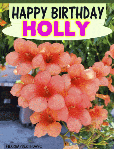 Holly