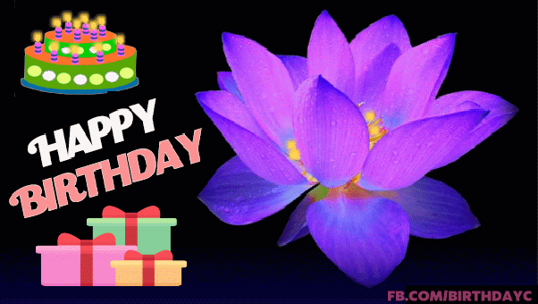 Birthday greeting card gifs