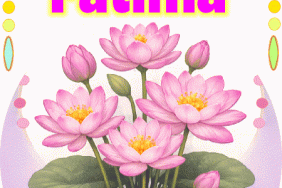 happy birthday Fatima gif