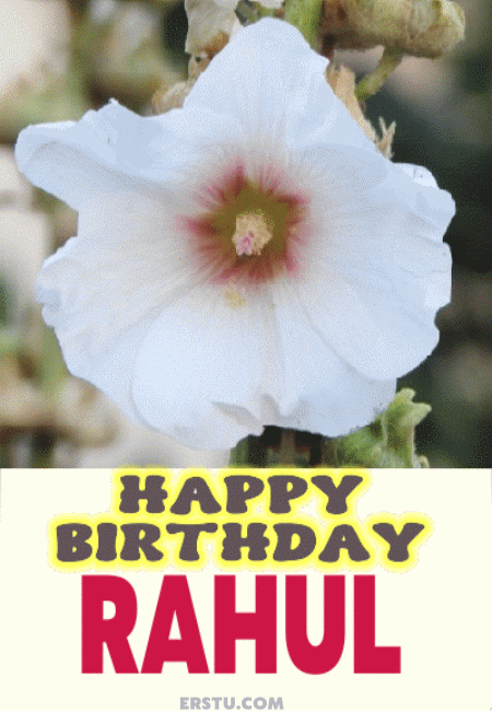 happy-birthday Rahul gif