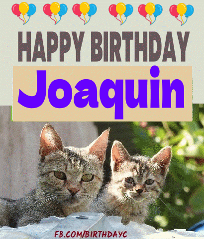 Happy Birthday Joaquin gif cats