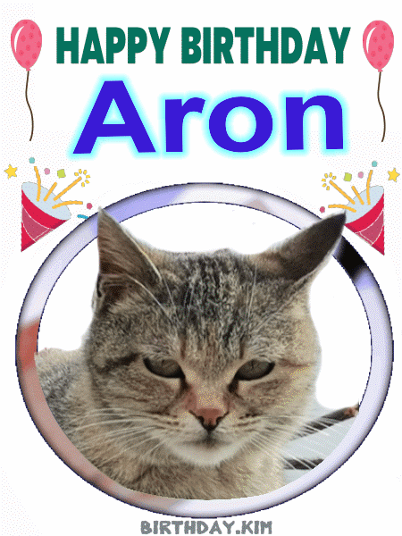 Aron happy birthday gif cat