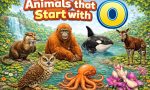 https://www.erstu.com/animals-that-start-with-o/