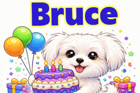 Happy Birthday Bruce GIF