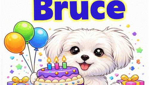 Bruce