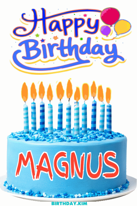 Happy Birthday Magnus GIF