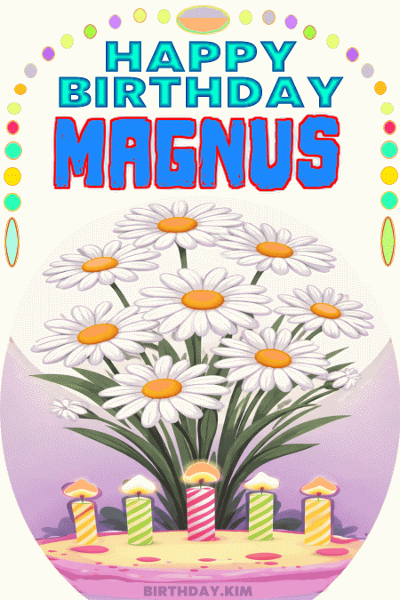 Happy Birthday Magnus GIF