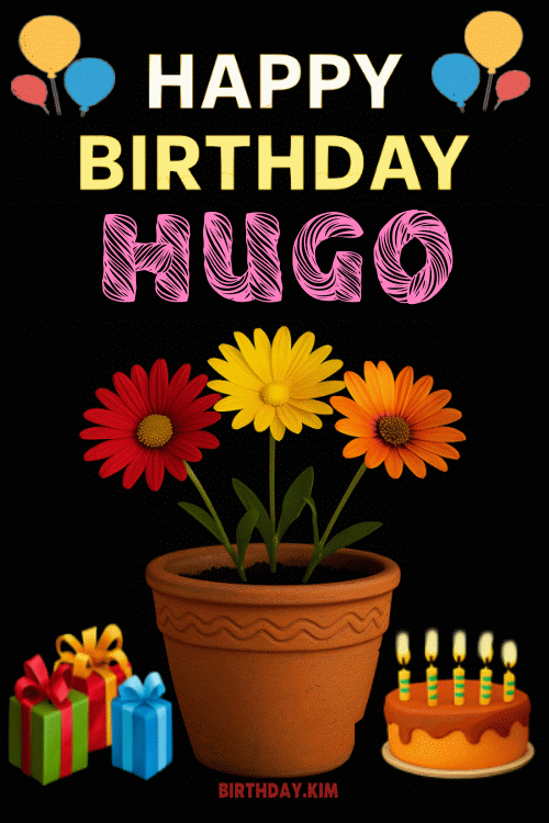 Happy Birthday Hugo GIF