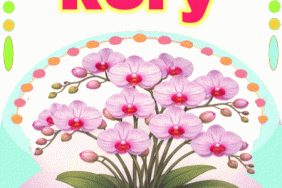 happy birthday Rory gif
