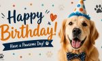 Dog Birthday Wishes