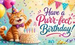 Funny Cat Birthday Quotes