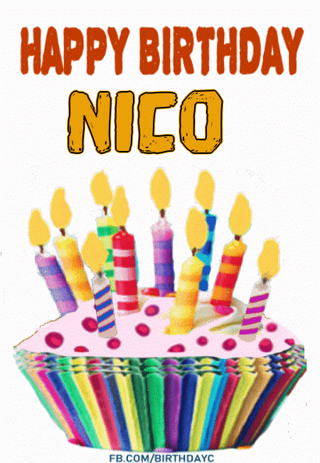 Happy Birthday Nico GIF