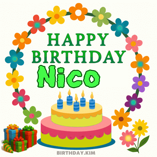 Happy Birthday Nico GIF