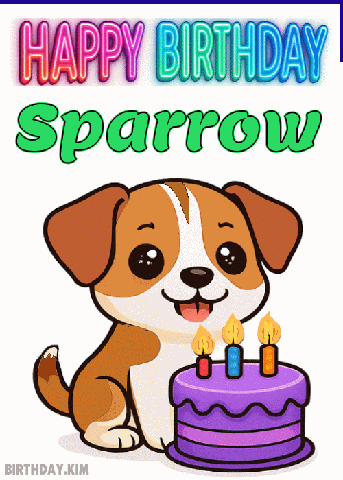 Happy Birthday Sparrow GIF