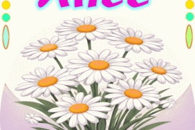 Happy Birthday Alice gif